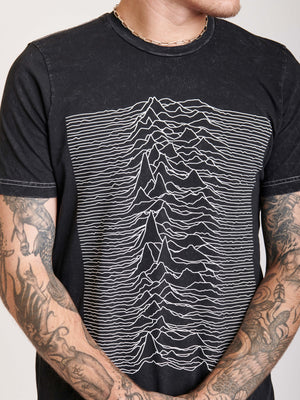 Joy division unknown top pleasures cats